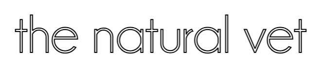 Konturbild