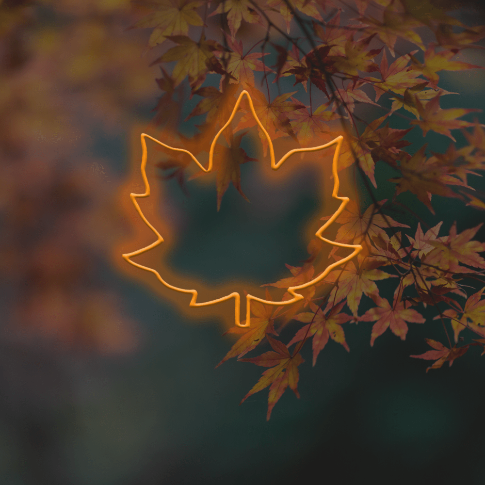 Maple Leaf - Autumn interior LED Neon Sign Made In London - Planet Neon