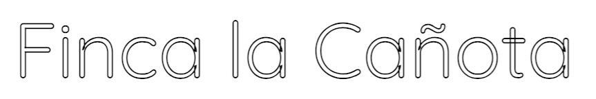 Imagen de contorno